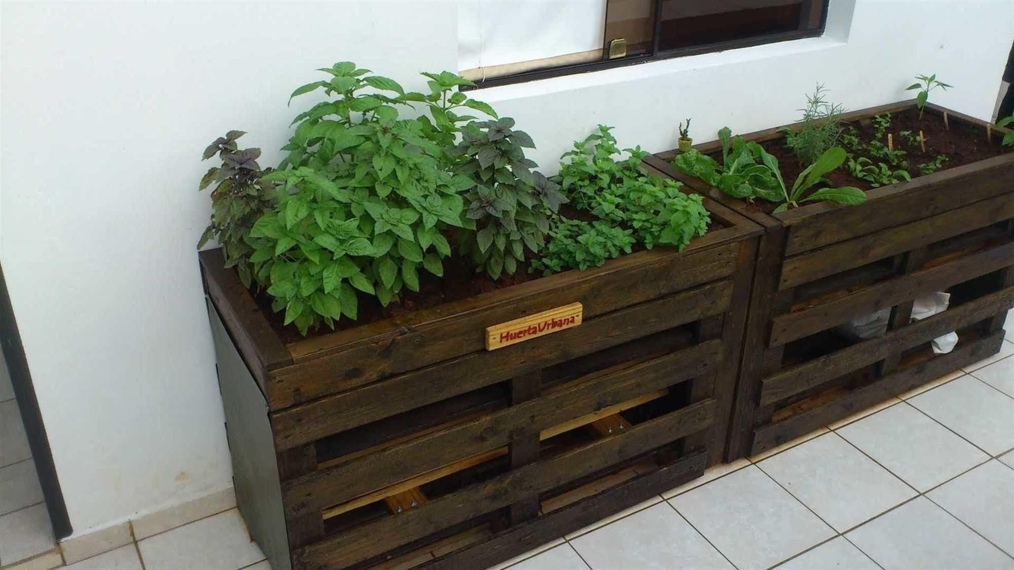 Urbanian Hotell Asuncion Exteriör bild